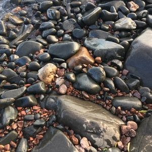 Meet your Posher, Elyssa